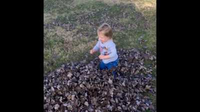 I am a grown Man and I worked for minutes in the yard so my 3yr old could do this..