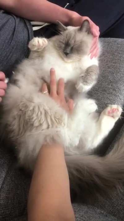 Saturday&rsquo;s are for being spoiled
