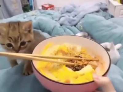 GIVE ME THE FOOD