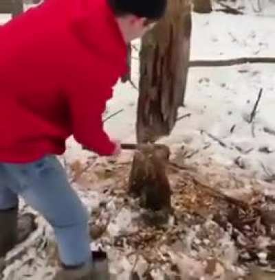 maybe maybe maybe