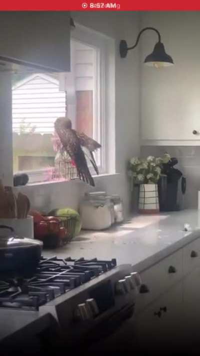 &ldquo;What am I supposed to do?&rdquo;