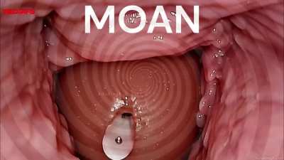 Breeding&hellip;It&rsquo;s all almost over