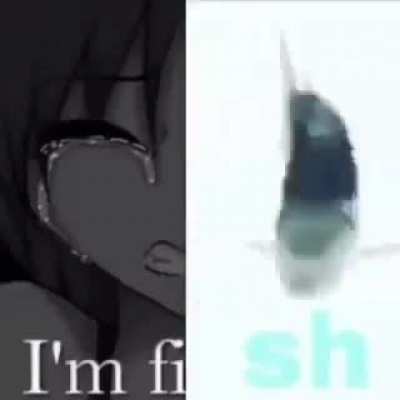 feesh