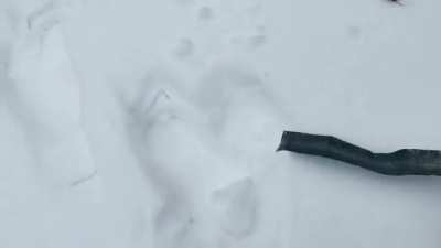 HMBKR while I reduce&sup1; the snow in the drive (sound on)
