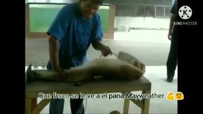 Que fresco el pana Mayweather 💪💪