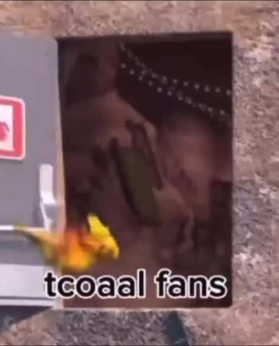 hazbin hotel fans