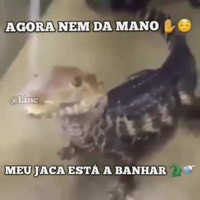 Desce pra baixo ae