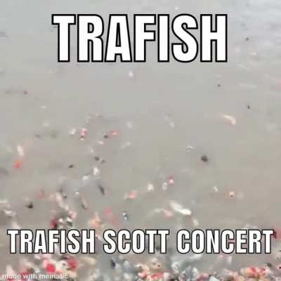 Trafish Scott guys