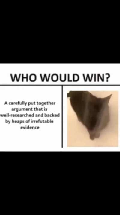 🐈‍⬛