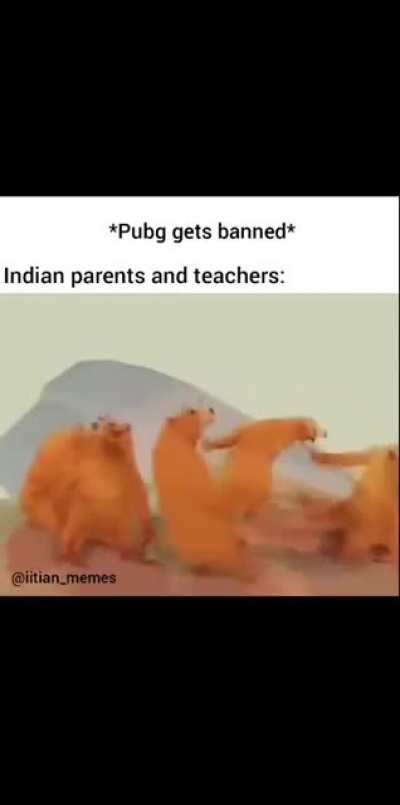 RIP PubG...