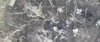 video of a Ukrainian drone dropping a vog-17 grenade on russian soldiers. [music from source]