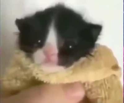 Nooooo