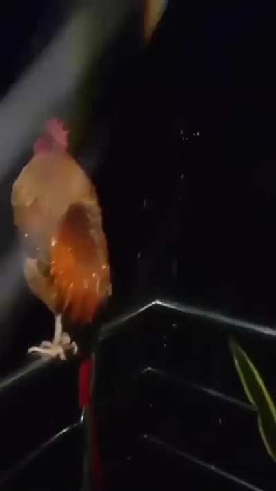 &lrm;