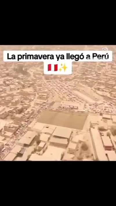 no hay ning&uacute;n &aacute;rbol a la vista