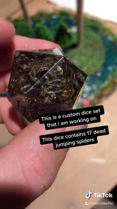 Spider d20