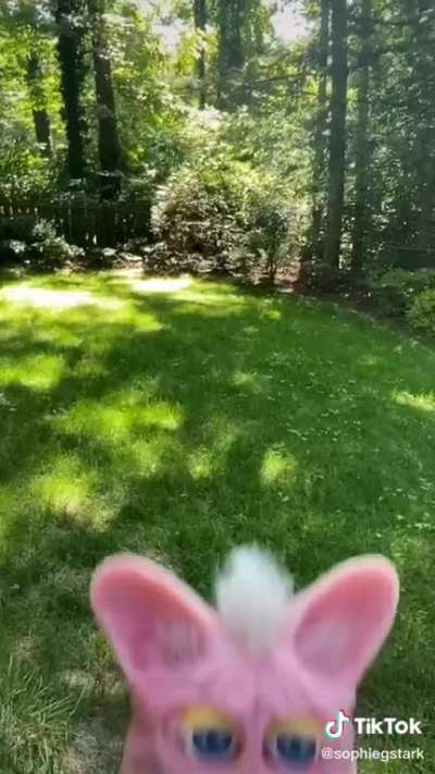 Cursed_Furby