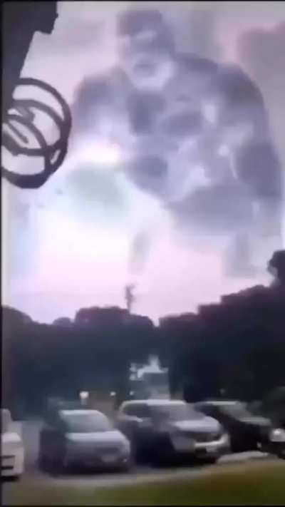 Z-Zeus????