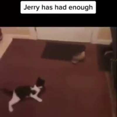 Big Boy Jerry