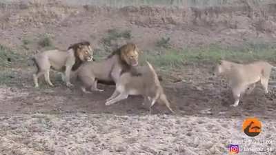 To eat a meal