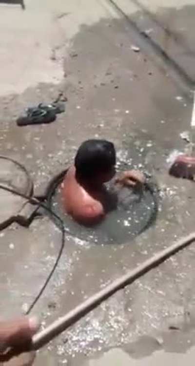 Ratatulie na cacha&ccedil;a 