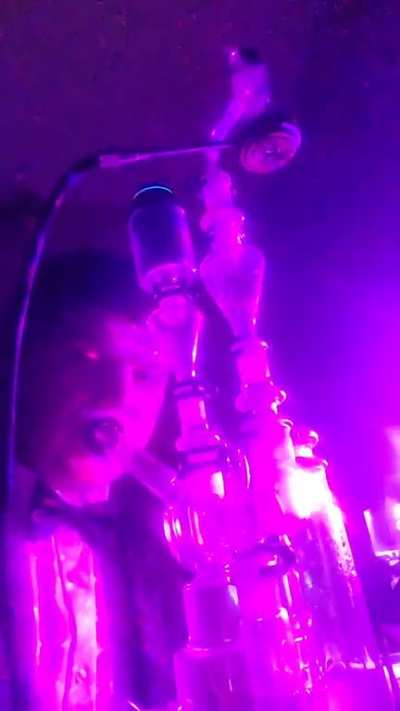 Dabs