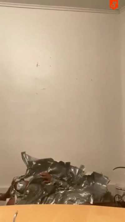 Watch &amp;amp; Enjoy, It Is Really Funny.