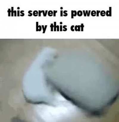 Rule