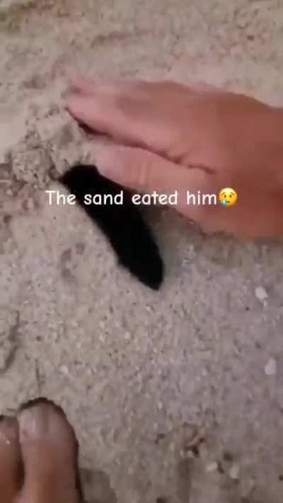 the sand ated him &eth;&shy;