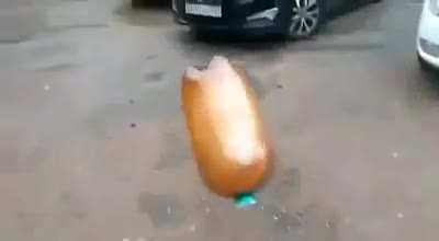 ctto