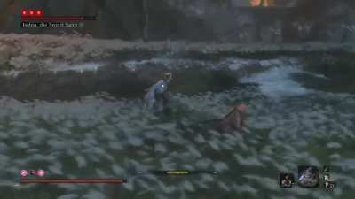 Race me, Sekiro!