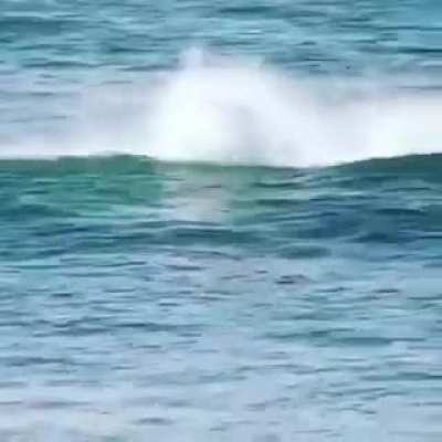 Fuck that guy on the paddle board