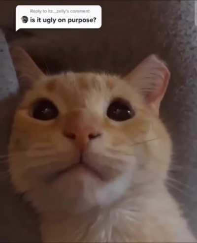 Is it ugly on purpose?