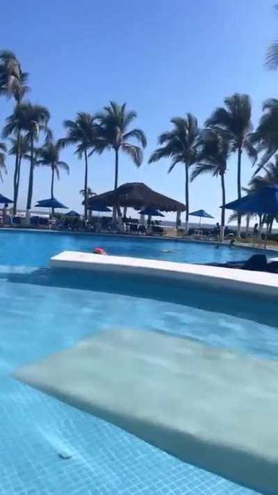 sus lindos piecitos