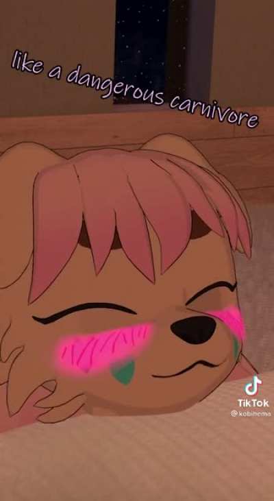 Vibes_irl