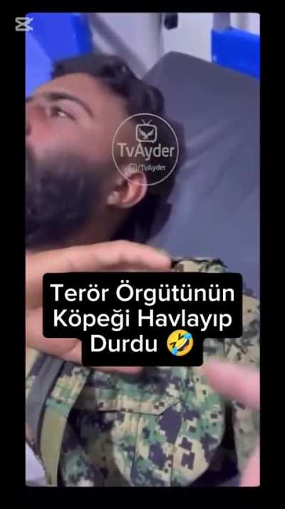 good booy🐶 akşam yal vermeyi unutmamışlardır inş🤣🐺🇹🇷🐺