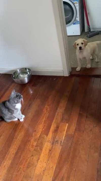 When you forget how small you are