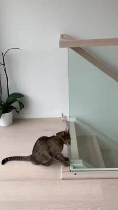 Wait for it...