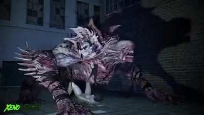 Ada Wong &amp;amp; Nemesis Stage 2 (Xeno Lovers) [Resident Evil]