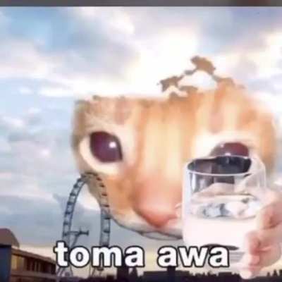 n&atilde;o esque&ccedil;a