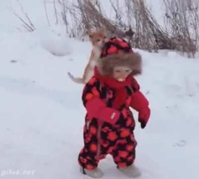 Takedown!
