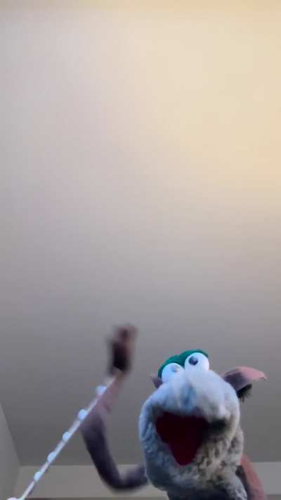 First puppet!