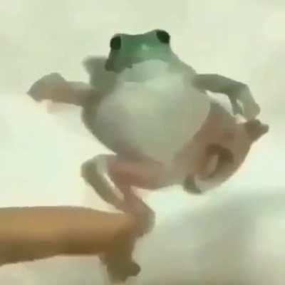 Ele n&atilde;o vai lavar o p&eacute;