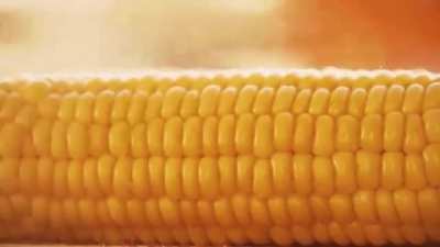 CORN