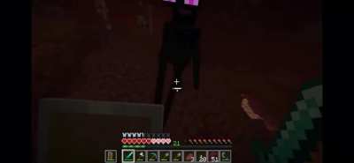 I love how there&rsquo;s 4 flairs and 1 is just for minecraft