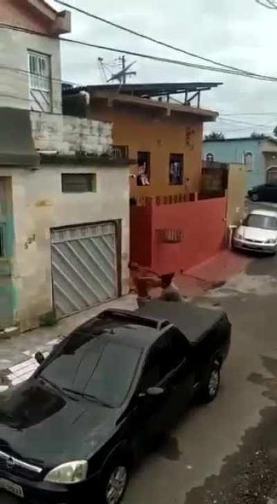 Talk shit, get hit. lol