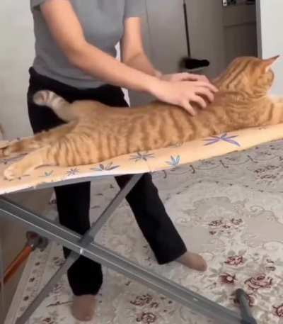 Aww yiss.