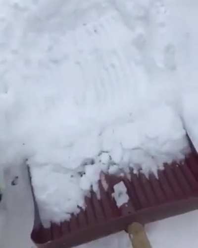 He is really enjoying