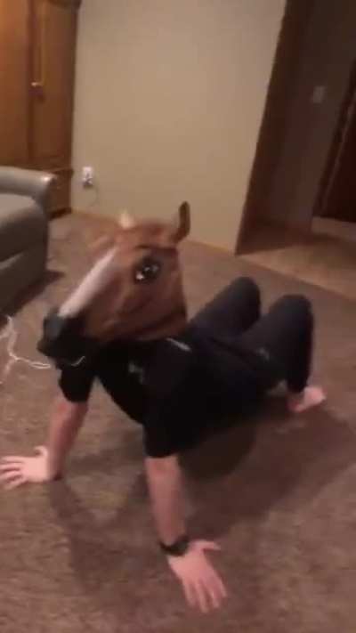 So I bought a horse mask...