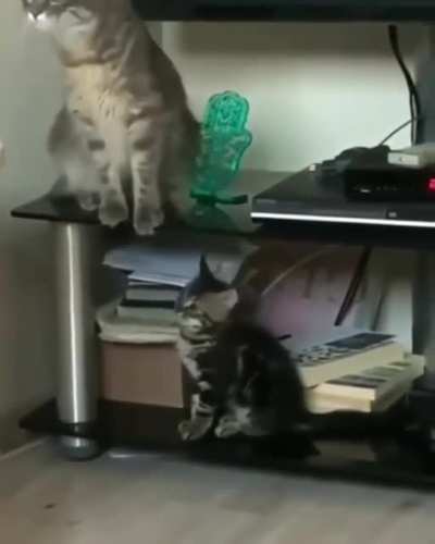 I didn&rsquo;t want to scare you