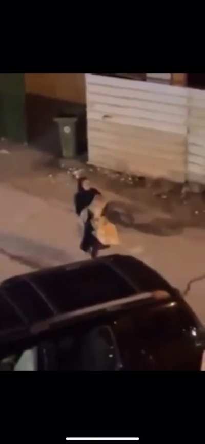 Kuwaiti Woman caught an escaped lion in Kuwait